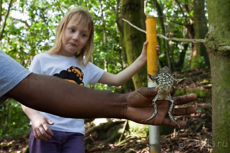 Монтсеррат. Montserrat, West Indies (4/4).