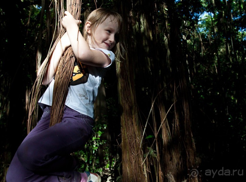 Монтсеррат. Montserrat, West Indies (4/4).