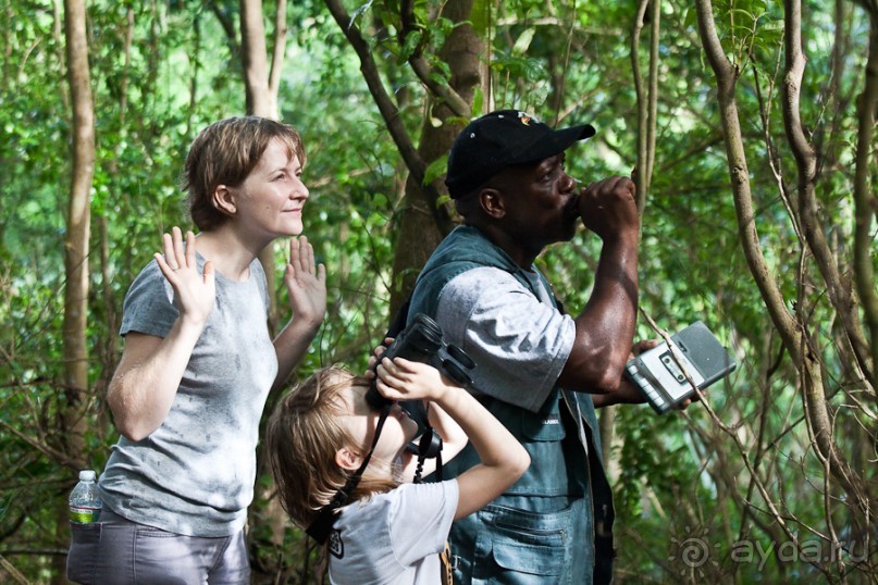 Монтсеррат. Montserrat, West Indies (4/4).