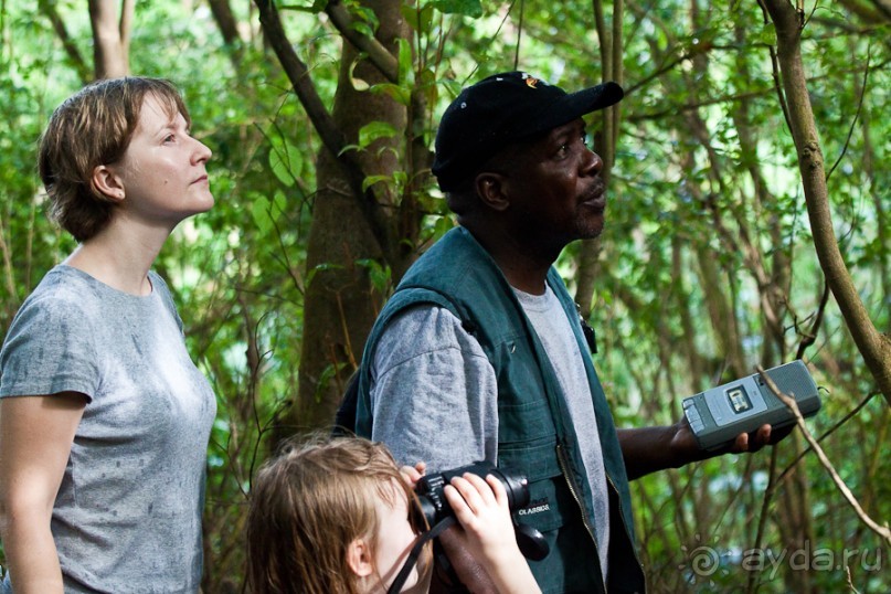 Монтсеррат. Montserrat, West Indies (4/4).