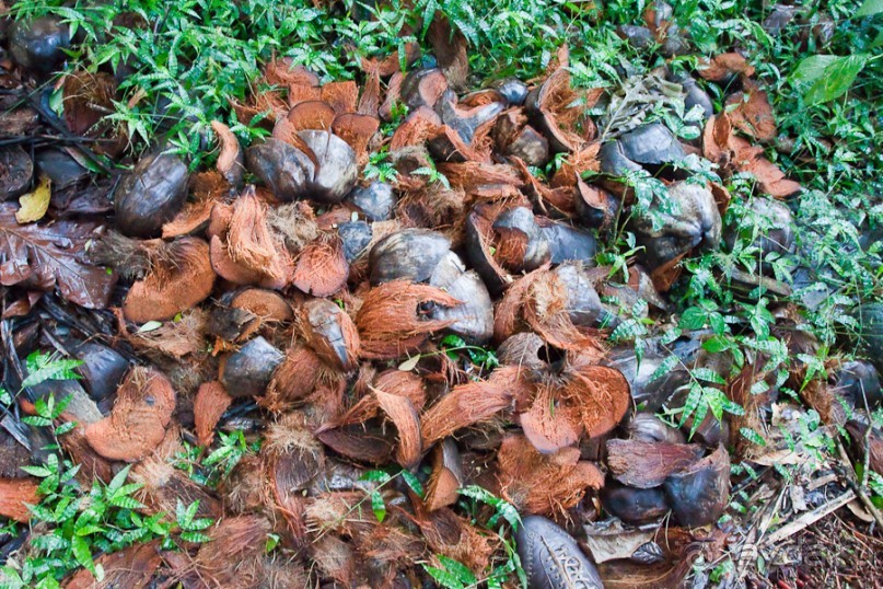 Монтсеррат. Montserrat, West Indies (4/4).