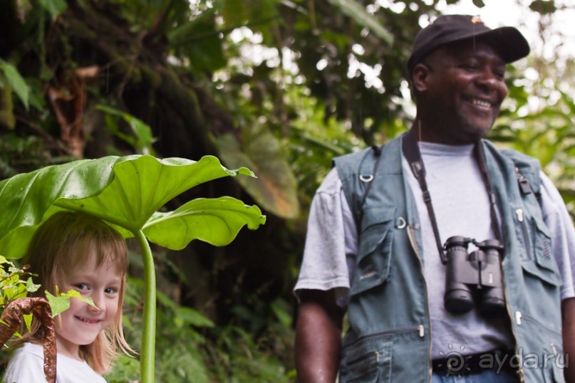 Монтсеррат. Montserrat, West Indies (4/4).