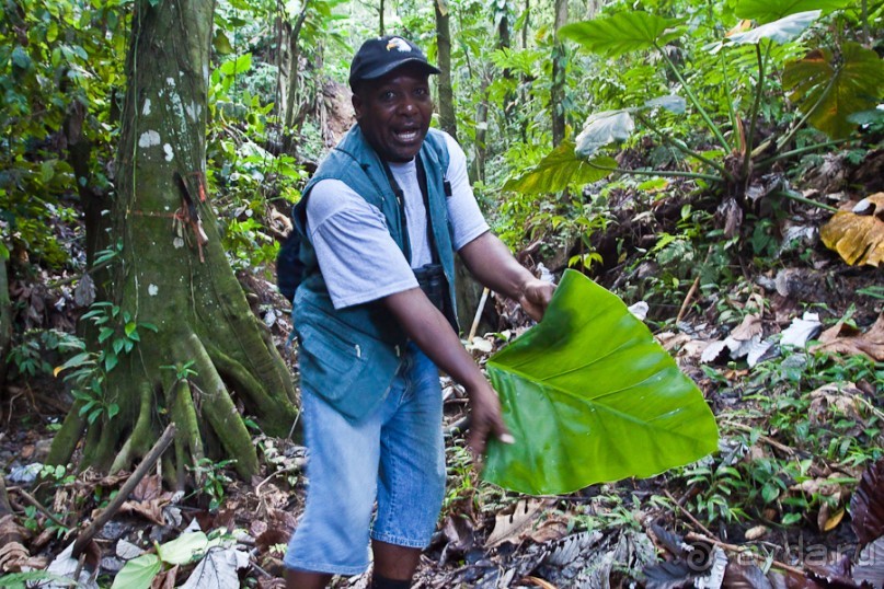 Монтсеррат. Montserrat, West Indies (4/4).