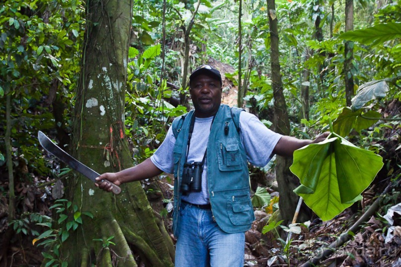 Монтсеррат. Montserrat, West Indies (4/4).