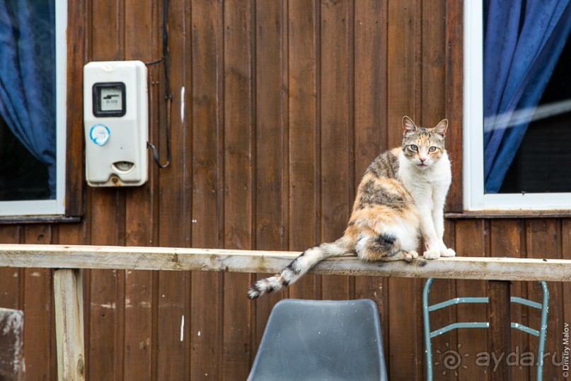 Остров Робинзона Крузо (2/3)