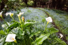 Остров Робинзона Крузо (2/3)