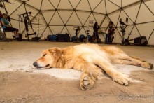 Остров Робинзона Крузо (2/3)