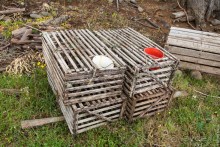 Остров Робинзона Крузо (2/3)