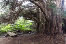 Остров Робинзона Крузо (2/3)