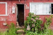 Остров Робинзона Крузо (2/3)