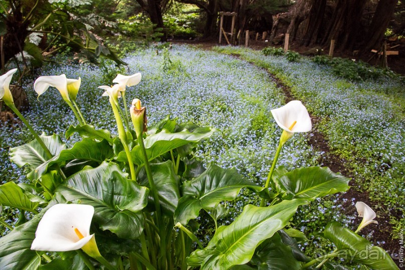 Остров Робинзона Крузо (2/3)