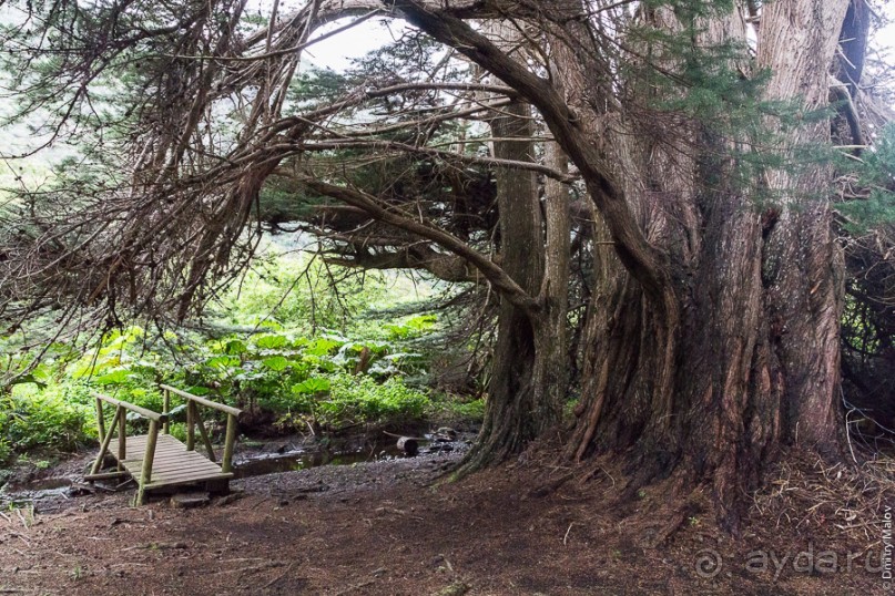 Остров Робинзона Крузо (2/3)