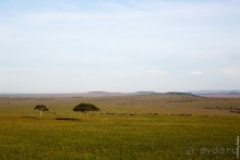 Кения с воздушного шара