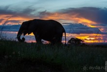 Кения с воздушного шара
