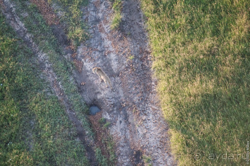 Кения с воздушного шара