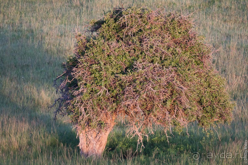 Кения с воздушного шара