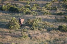 Кения с воздушного шара