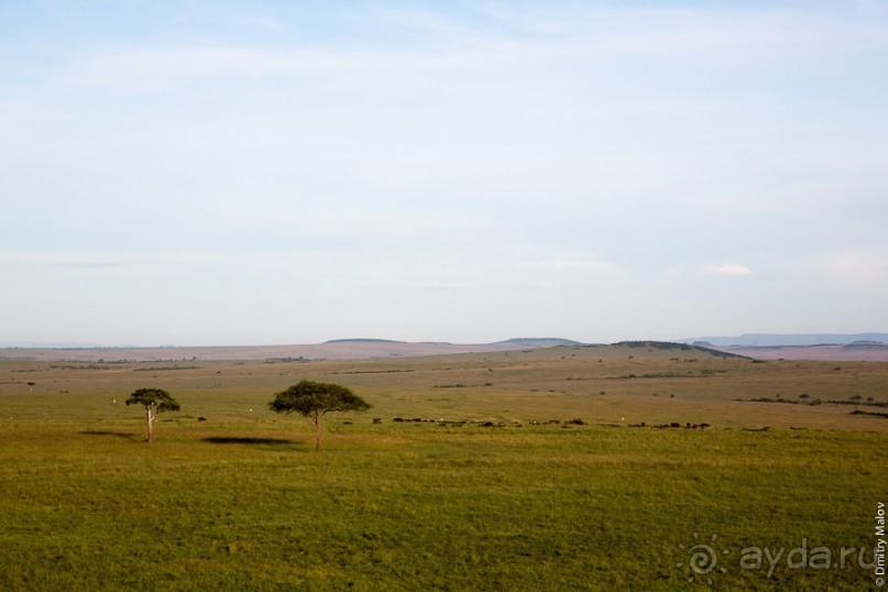 Кения с воздушного шара