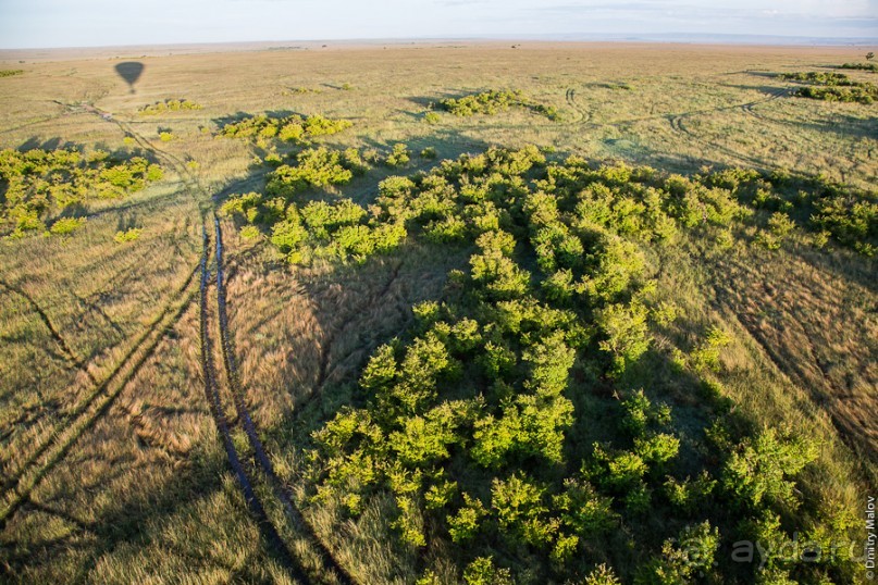Кения с воздушного шара