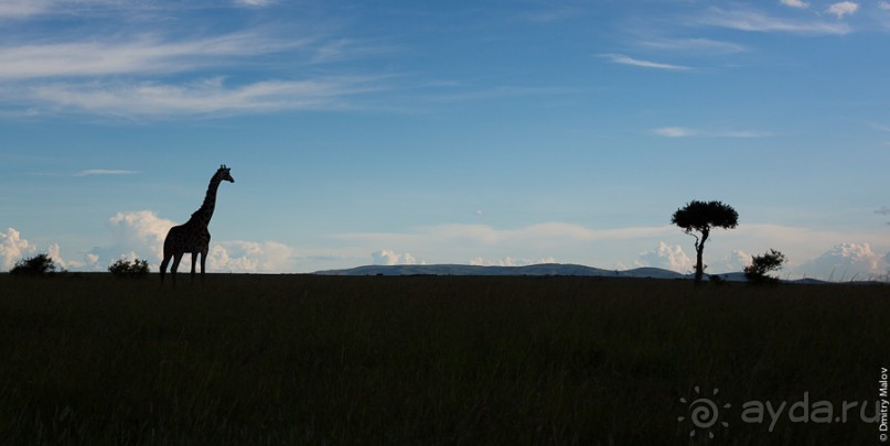 Кения с воздушного шара
