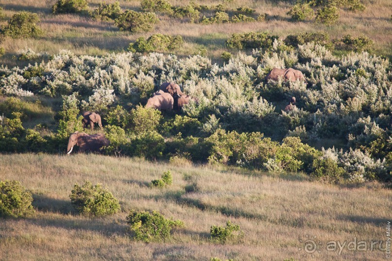 Кения с воздушного шара