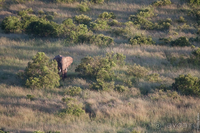 Кения с воздушного шара