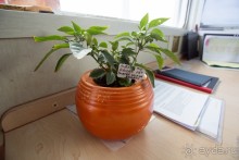 Кейптаун—Тристан-да-Кунья (2/2)