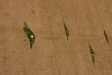 Израиль и Палестина с вертолёта (Дорога №1)