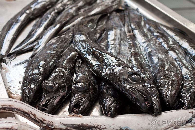 Португалия: Мадейра, Порту-Санту Португалия: Мадейра, Порту-Санту