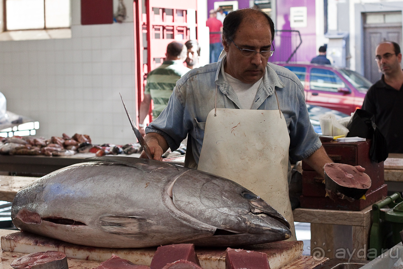 Португалия: Мадейра, Порту-Санту