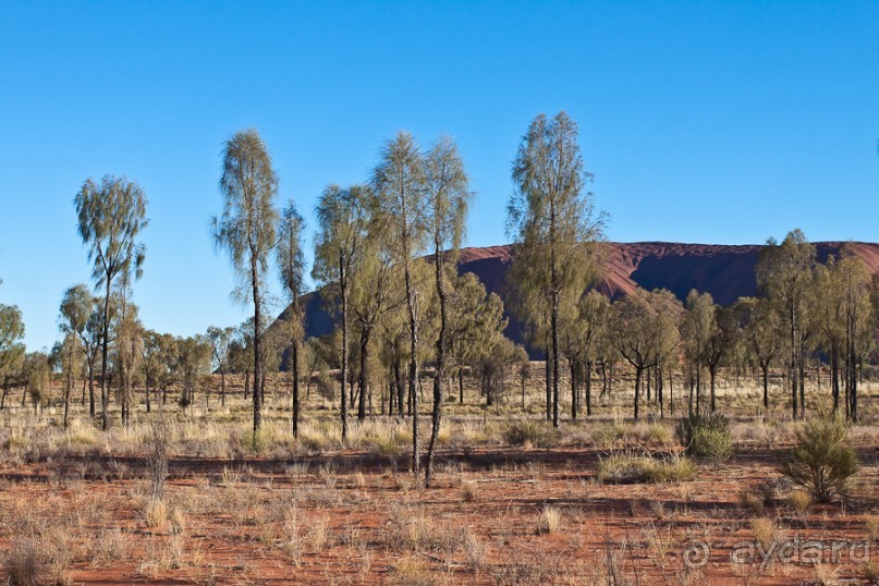 Австралия (Сидней, Северная Территория)