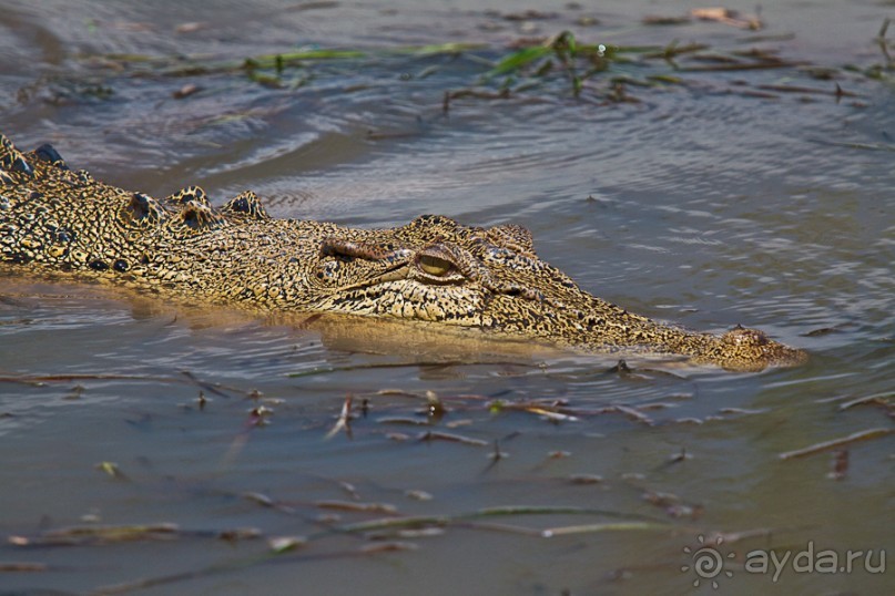 Австралия (Сидней, Северная Территория)