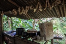 Kosrae, Micronesia (1/2)