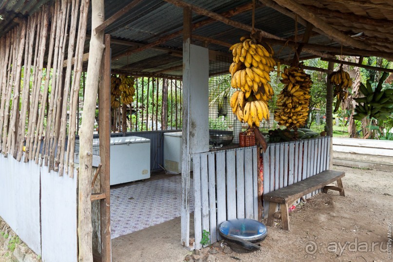 Kosrae, Micronesia (1/2)