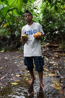 Kosrae, Micronesia (1/2)
