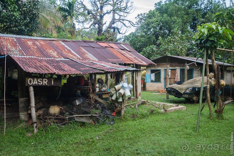Kosrae, Micronesia (1/2)
