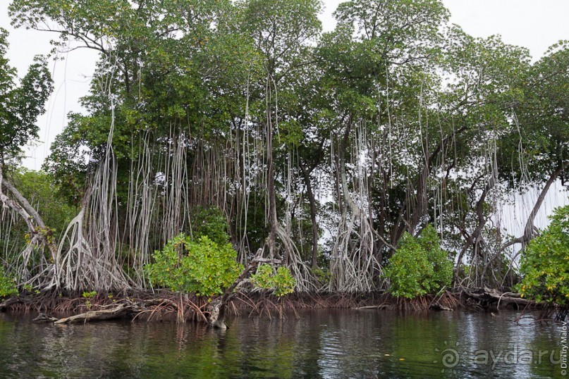 Kosrae, Micronesia (1/2)
