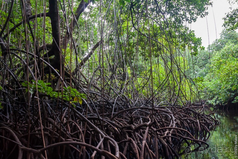 Kosrae, Micronesia (1/2)