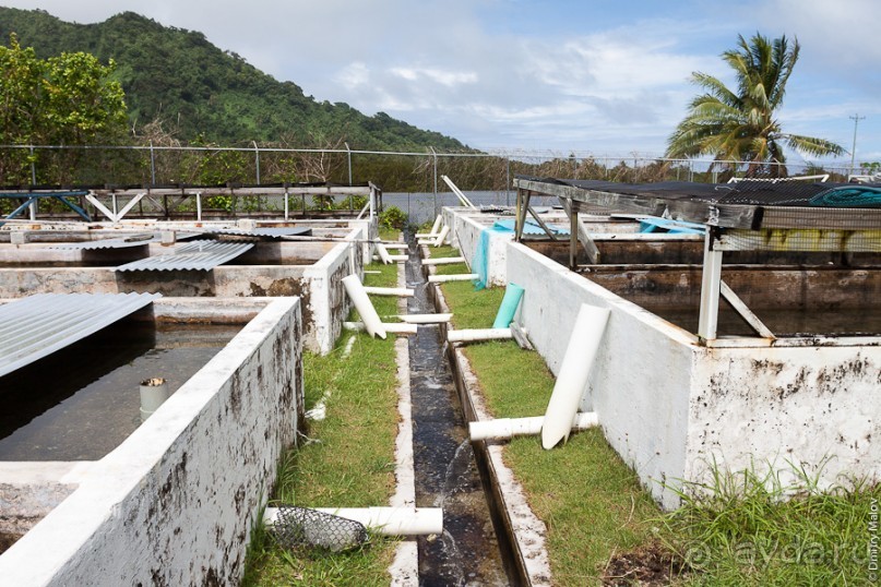 Kosrae, Micronesia (1/2)