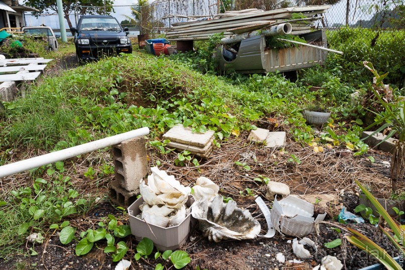 Kosrae, Micronesia (1/2)