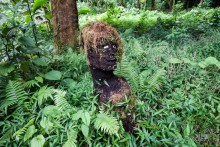 Альбом отзыва "Kosrae, Micronesia (2/2)"