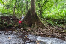 Kosrae, Micronesia (2/2)