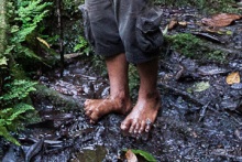 Kosrae, Micronesia (2/2)