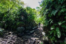 Kosrae, Micronesia (2/2)