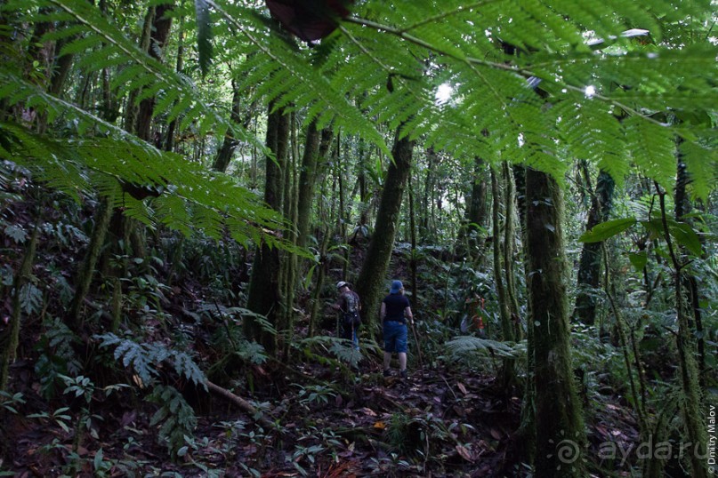 Kosrae, Micronesia (2/2)