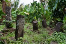 Kosrae, Micronesia (2/2)