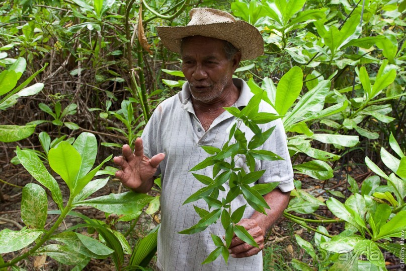 Kosrae, Micronesia (2/2)