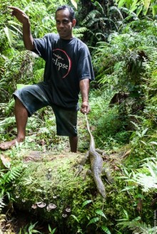 Альбом отзыва "Kosrae, Micronesia (2/2)"