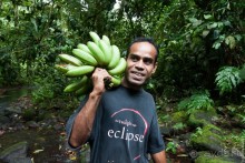 Альбом отзыва "Kosrae, Micronesia (2/2)"