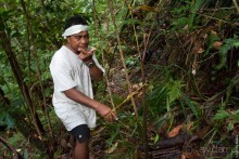 Kosrae, Micronesia (2/2)